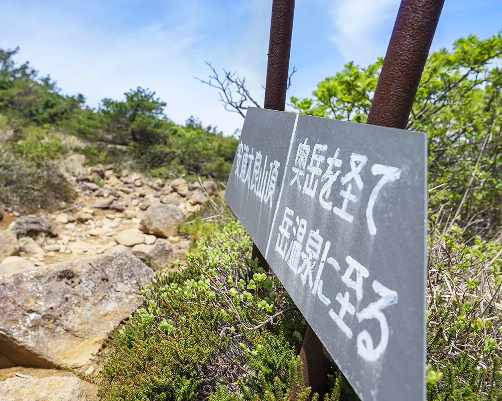 活動写真