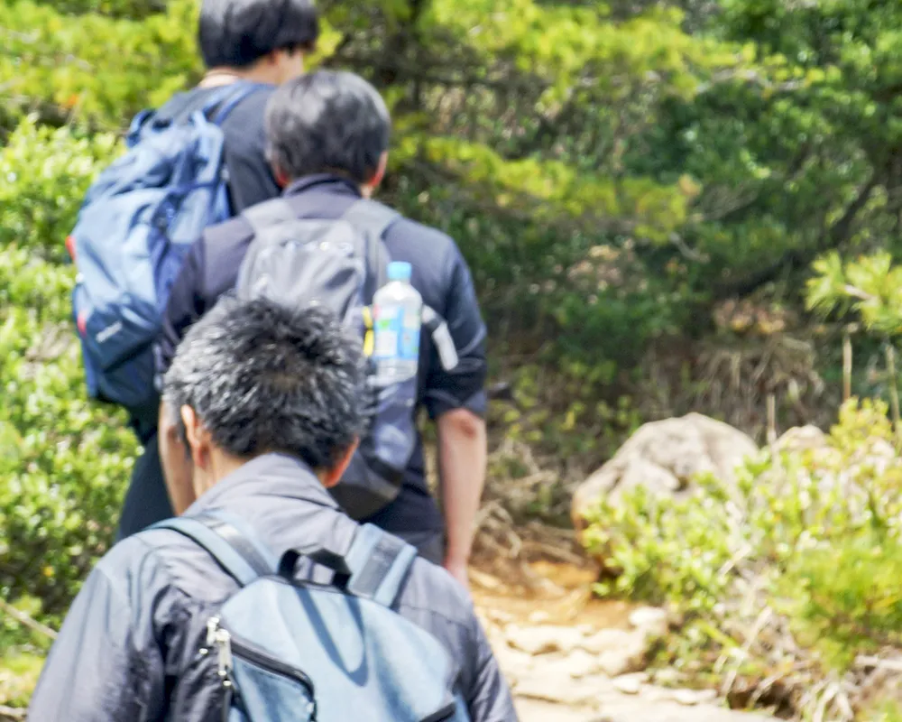 活動写真